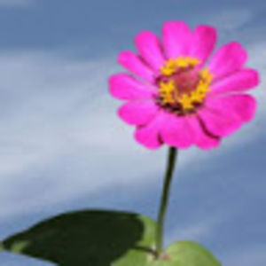 Meet your Posher, Maddie